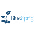 bluesprig spring tx 77380