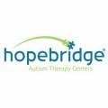 hopebridge autism therapy centers cumming ga 30040