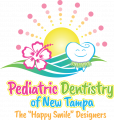pediatric dentistry of new tampa fl 33647