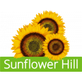 sunflower hill irby ranch ca 94566